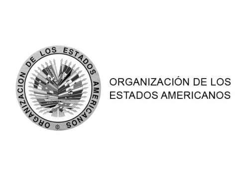 Organización de los Estados Americanos